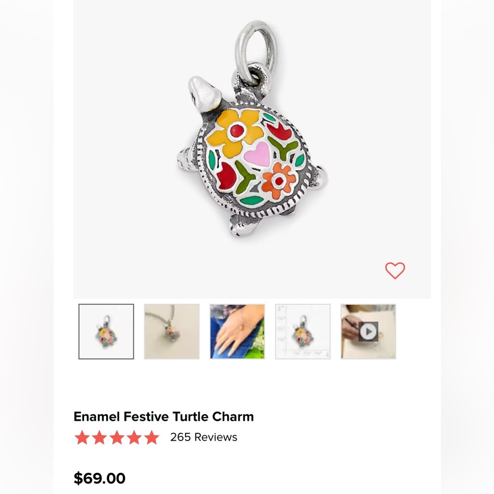 Enamel Festive Turtle Charm